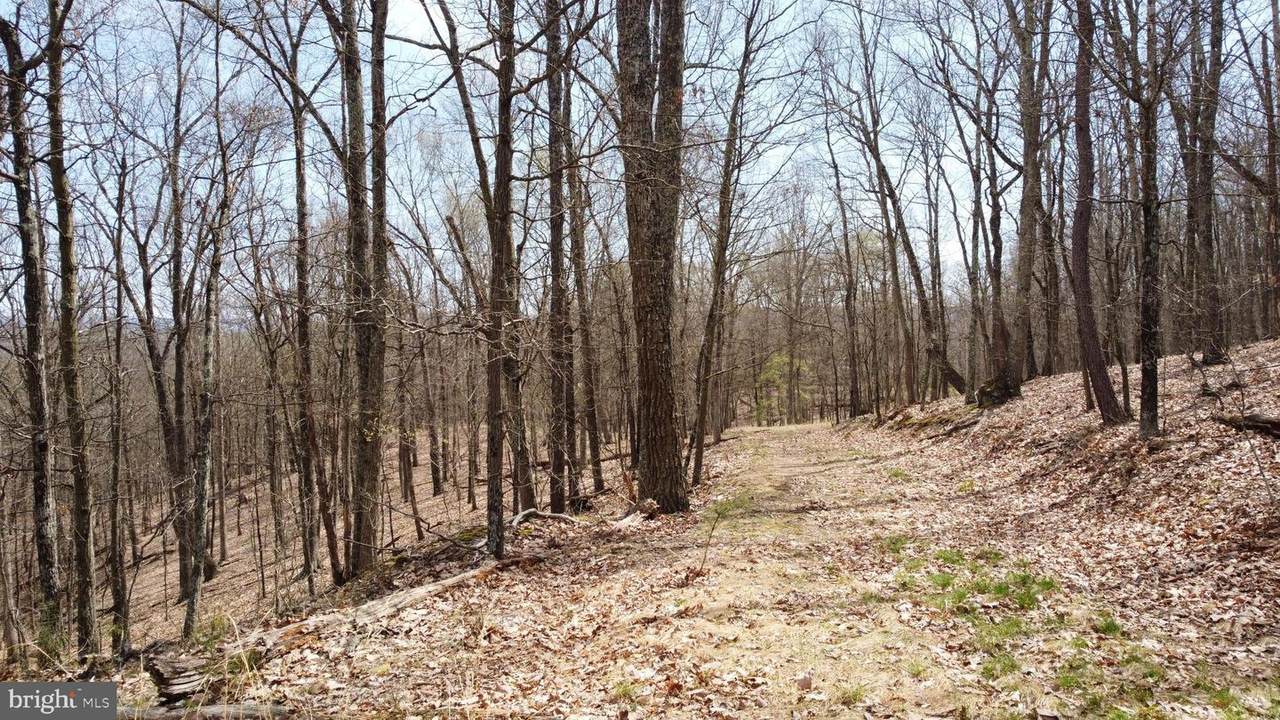 Longview Drive - Photo 1
