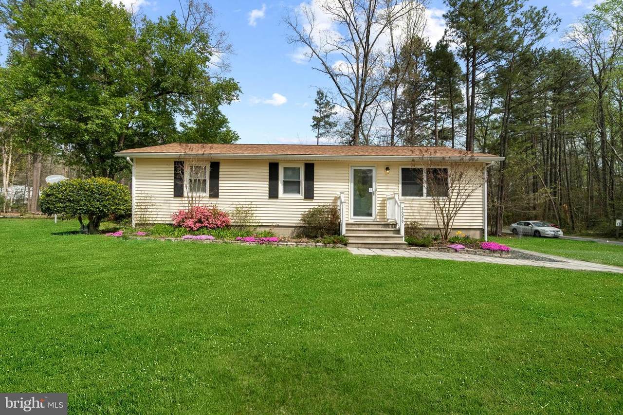 26079 Shannon Mill Drive - Photo 1