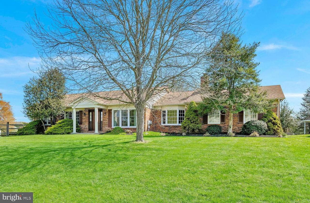 1 Ogden Court - Photo 1