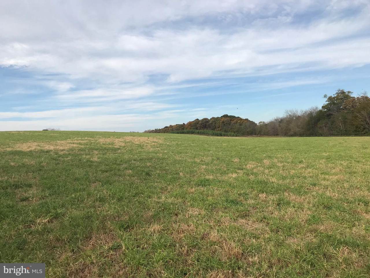 Elk Run Road - Photo 1