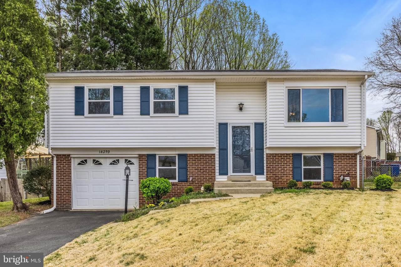 14259 Lindendale Road - Photo 1