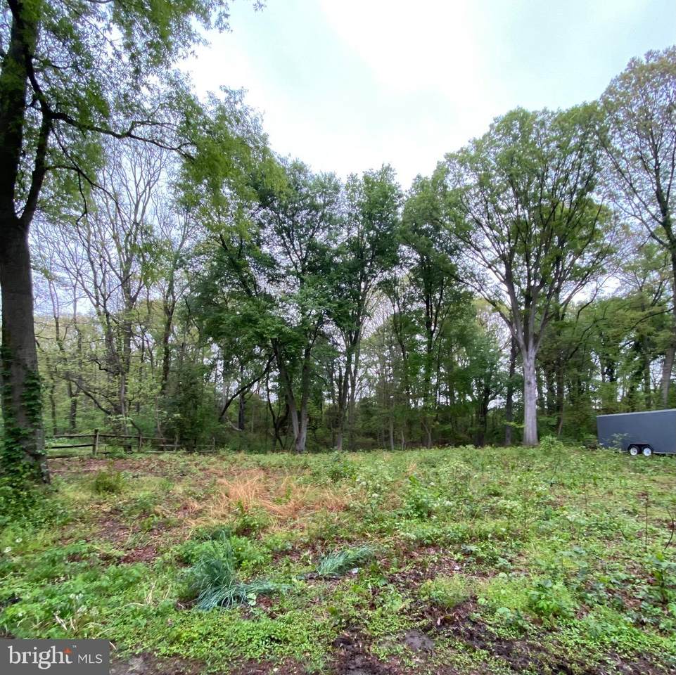 213 Pine Cove Lane - Photo 1