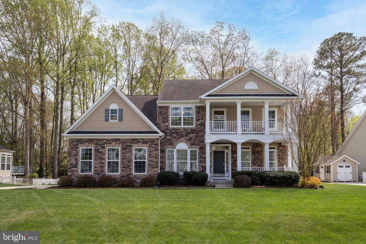 34395 Skyler Drive - Photo 1