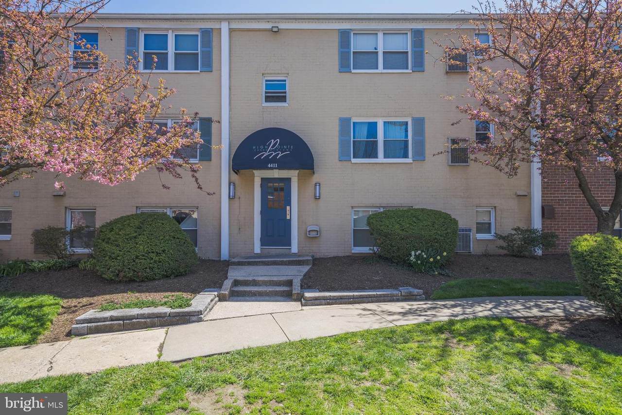 4411 Falls Bridge Drive - Photo 1