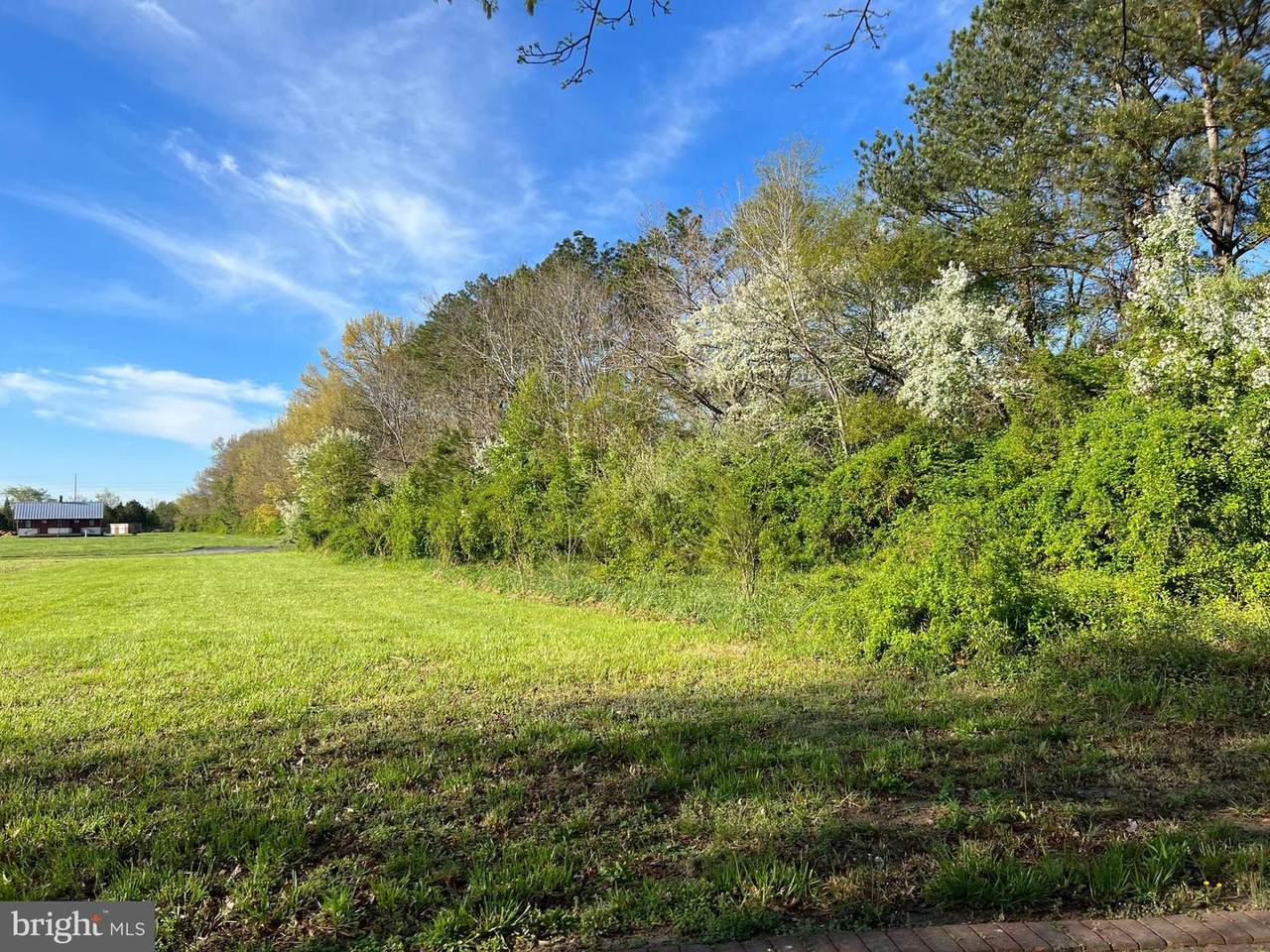 201 Manning Lane - Photo 1