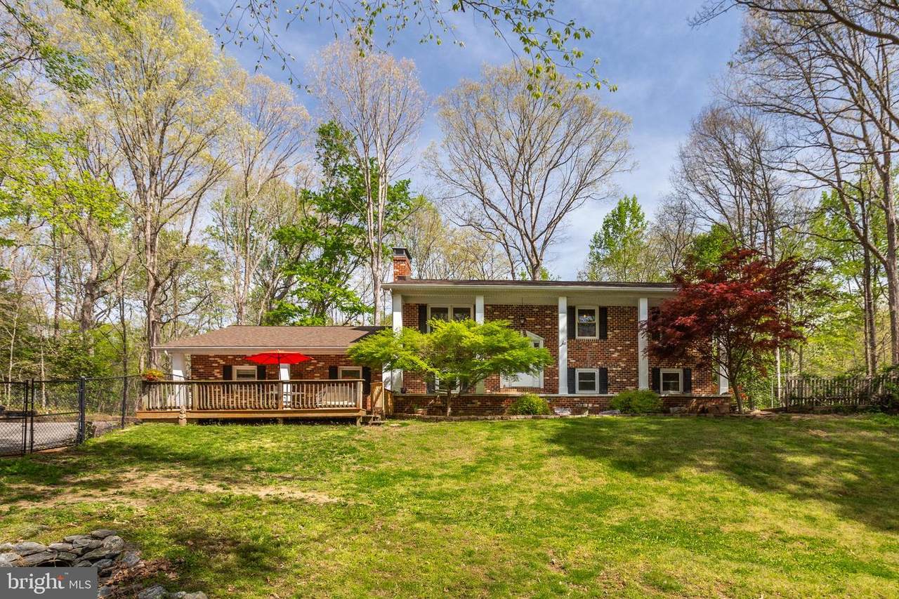 37352 Asher Road - Photo 1