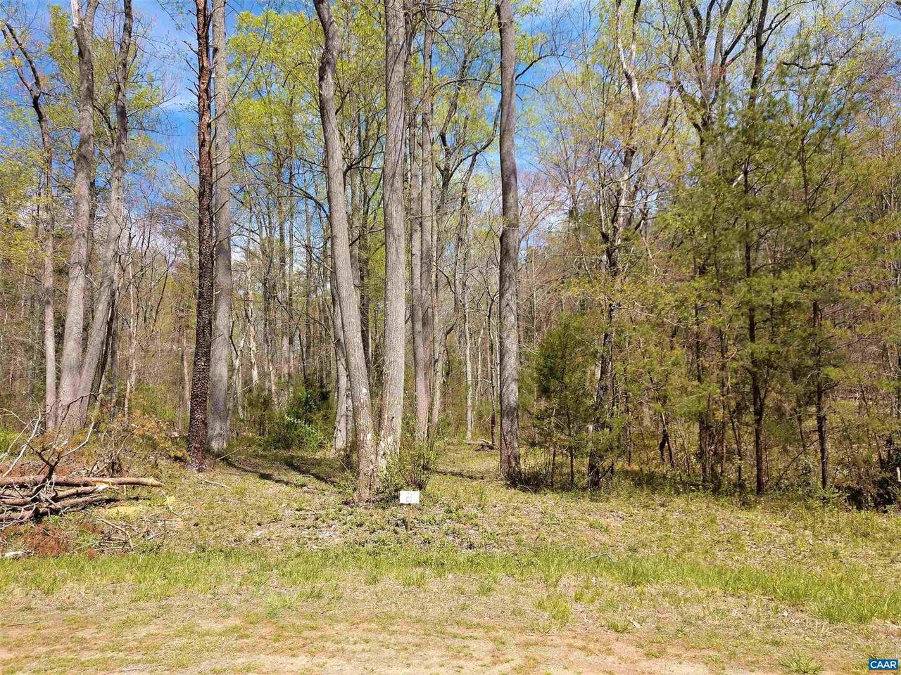 Lot 8 Montvue Ln - Photo 1