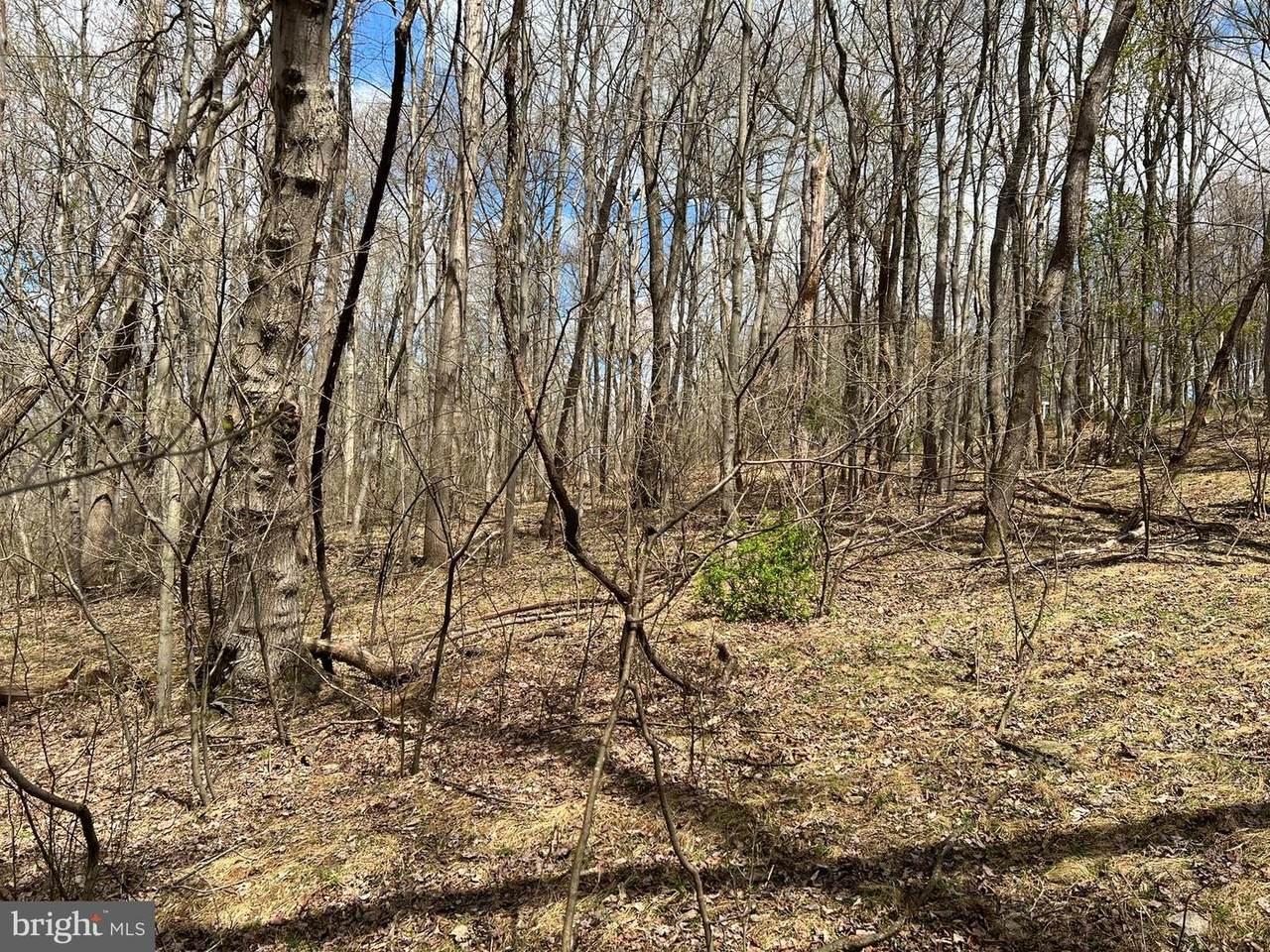 Lot #46 Dale Drive - Photo 1