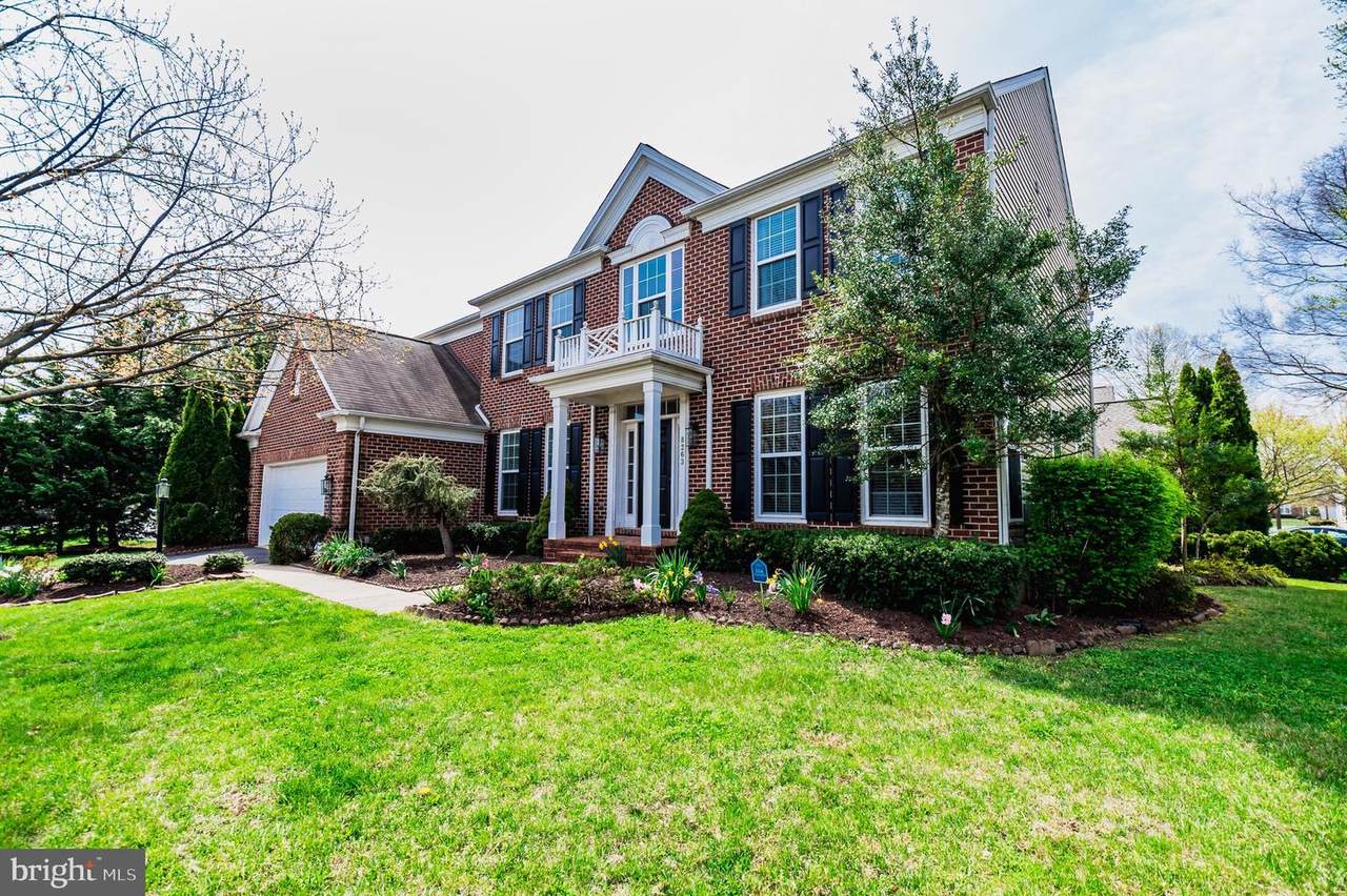 8263 Native Violet Drive - Photo 1