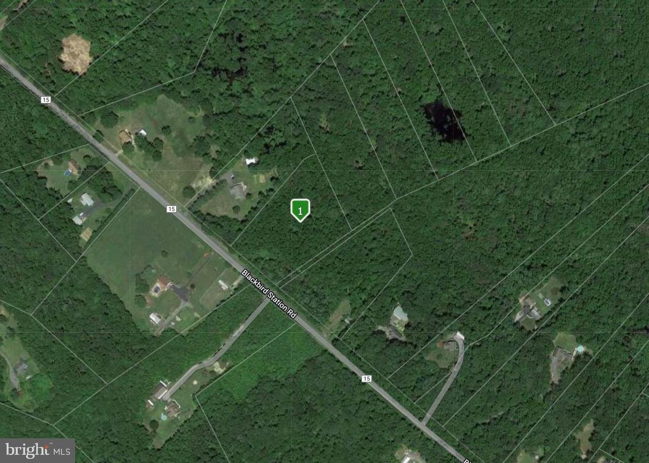 307 Blackbird Station Road - Photo 1