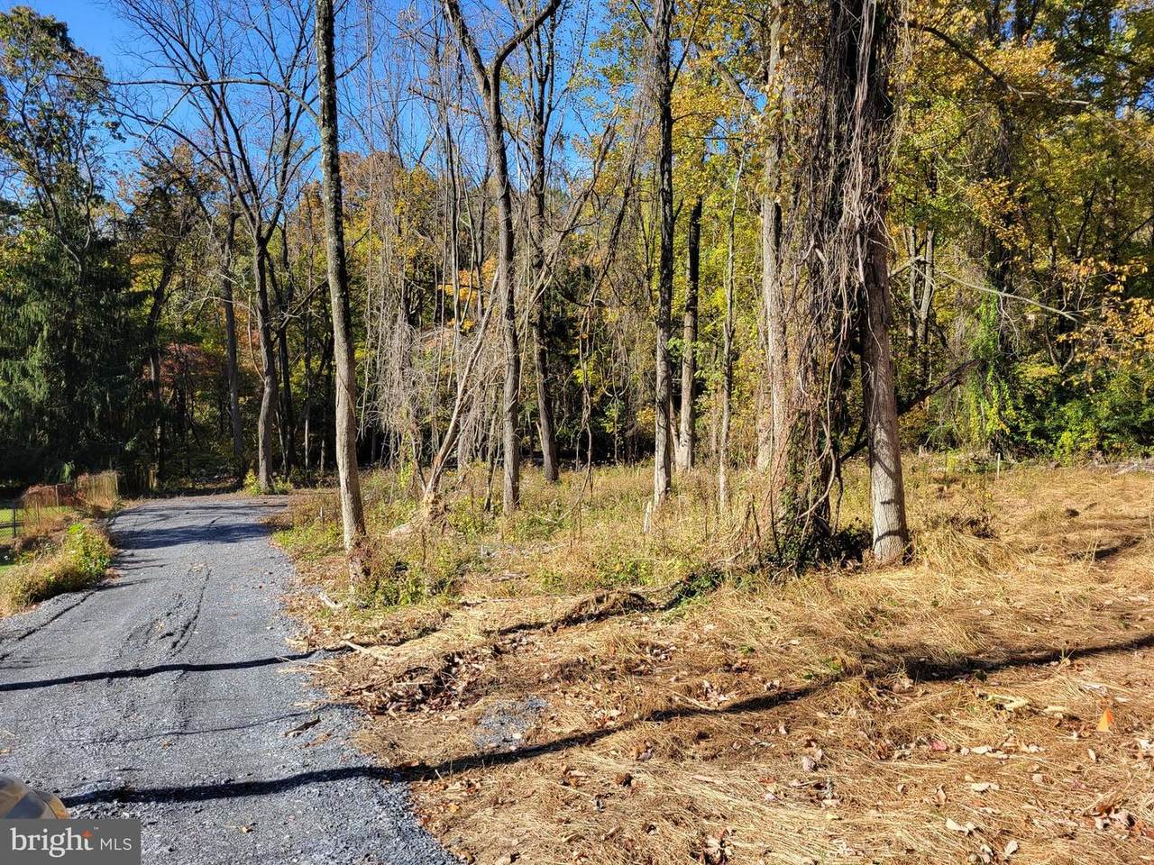 5147 Shookstown Road - Photo 1