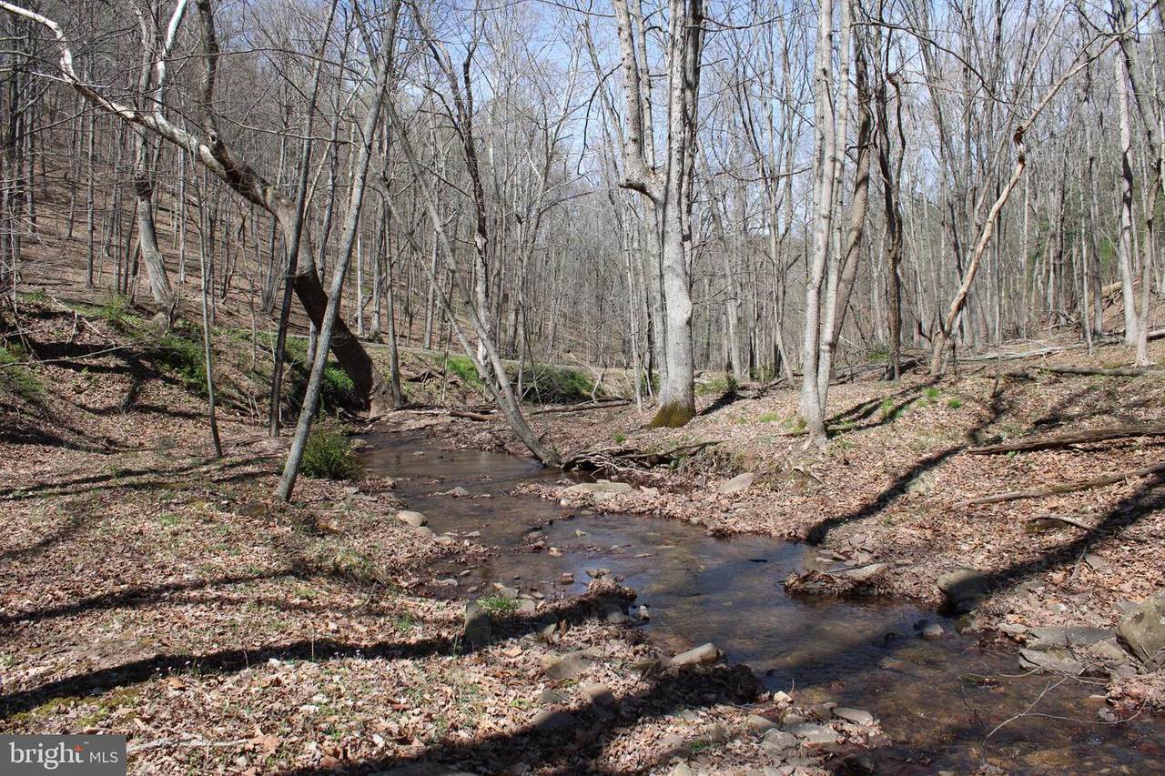 Lot 15 Redstone Mountain - Photo 1