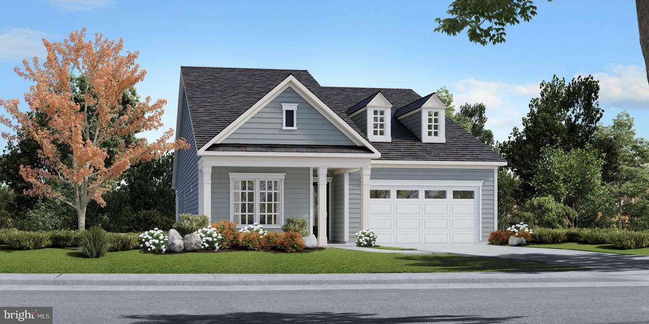 TBD Rustic Wood Drive - Photo 1