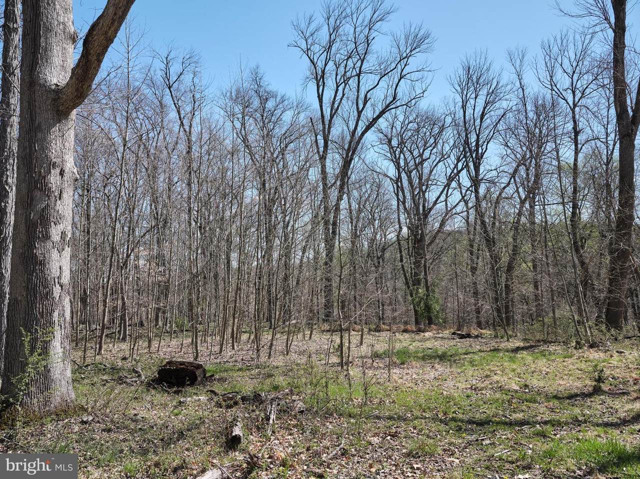 3774 Windy Bush Road - Photo 1