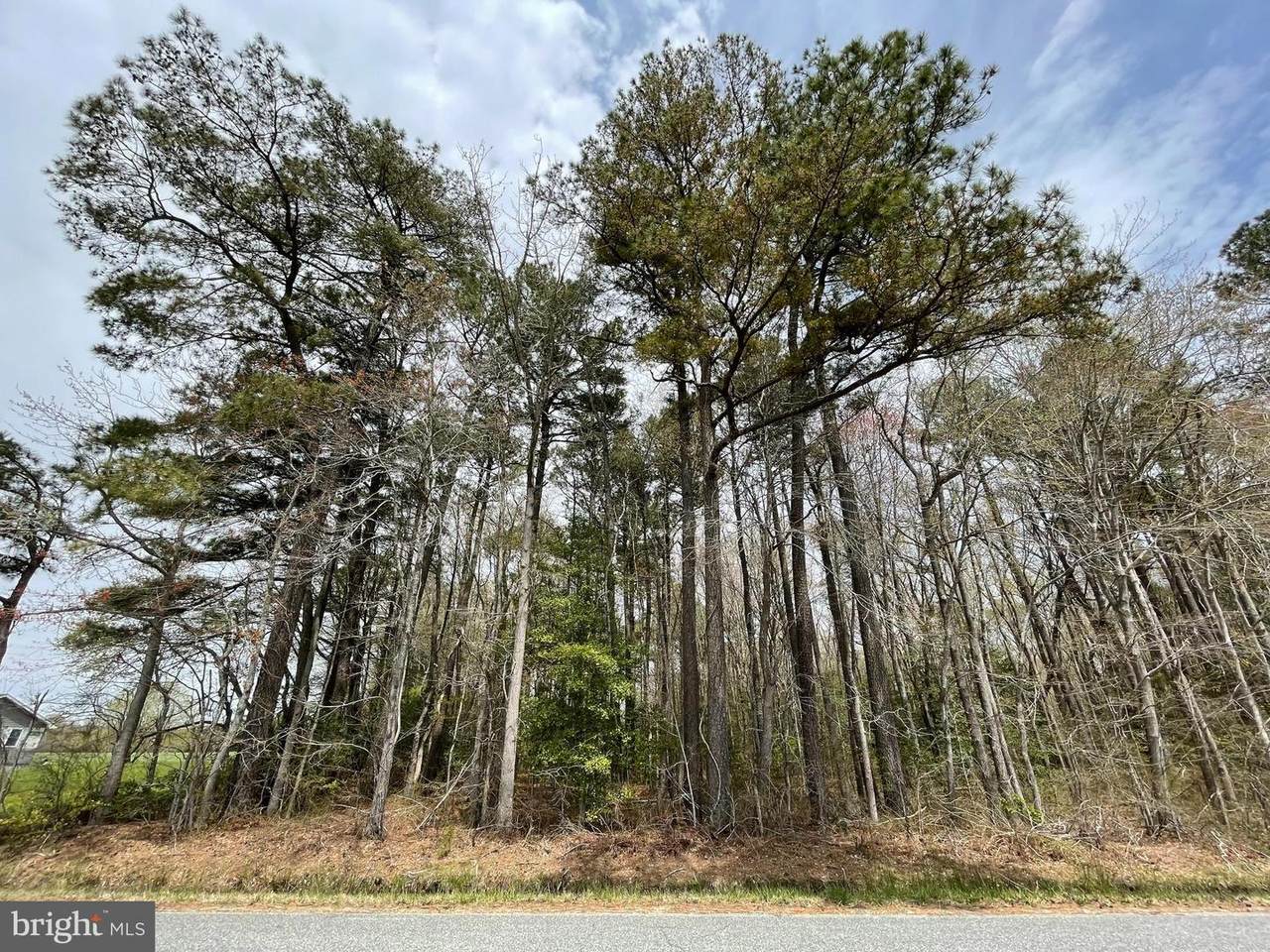 Cedartown Road - Photo 1
