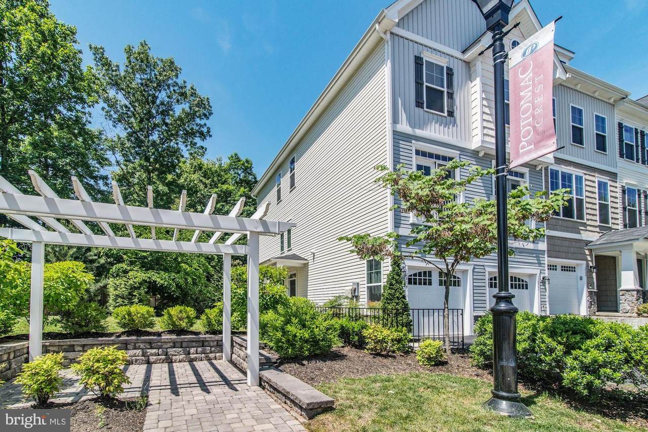 12802 Lotte Drive - Photo 1
