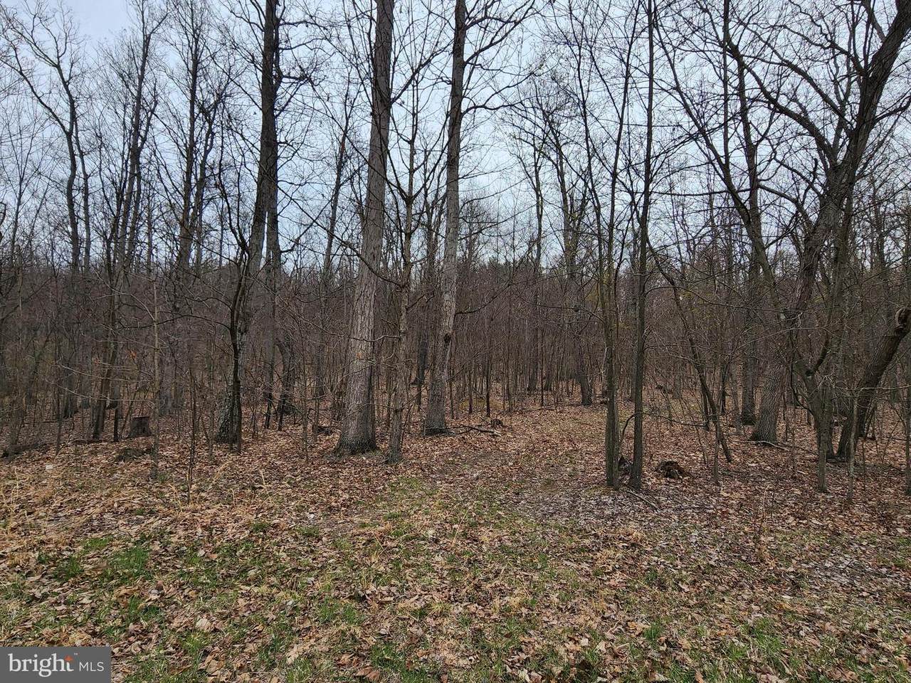 Lot 10C Smoky Shire Lane - Photo 1