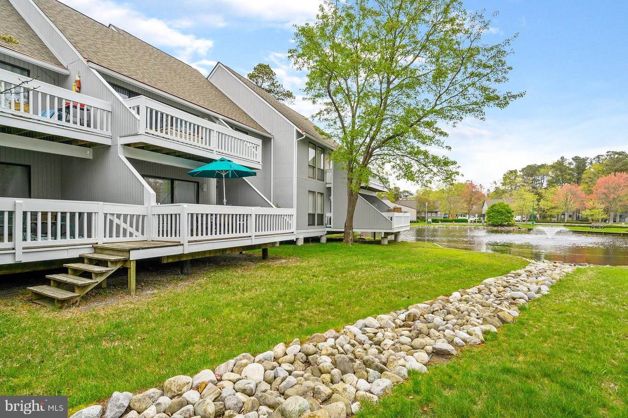 39687 Round Robin Way - Photo 1
