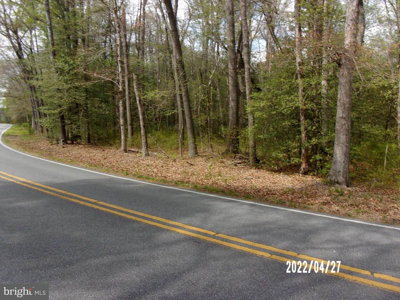Sussex Pines Road - Photo 1