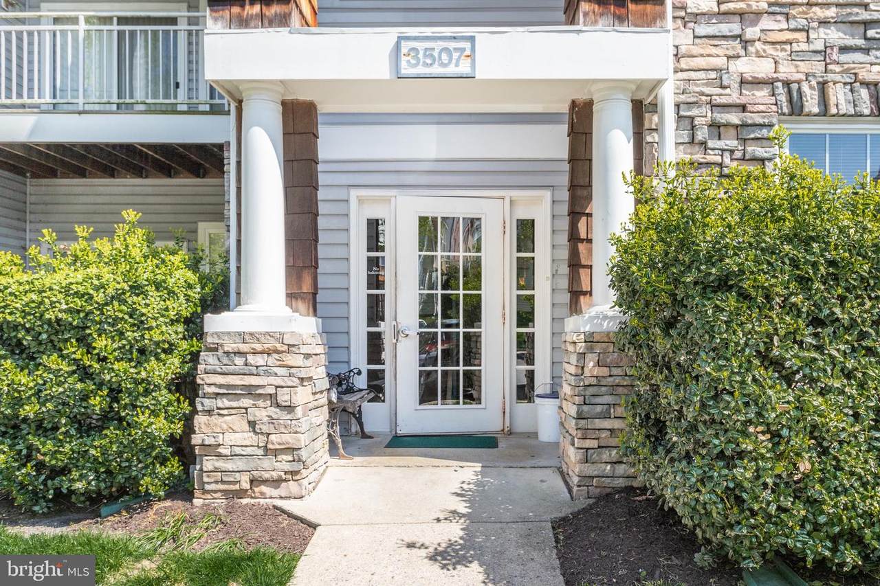 3507 Piney Woods Place - Photo 1