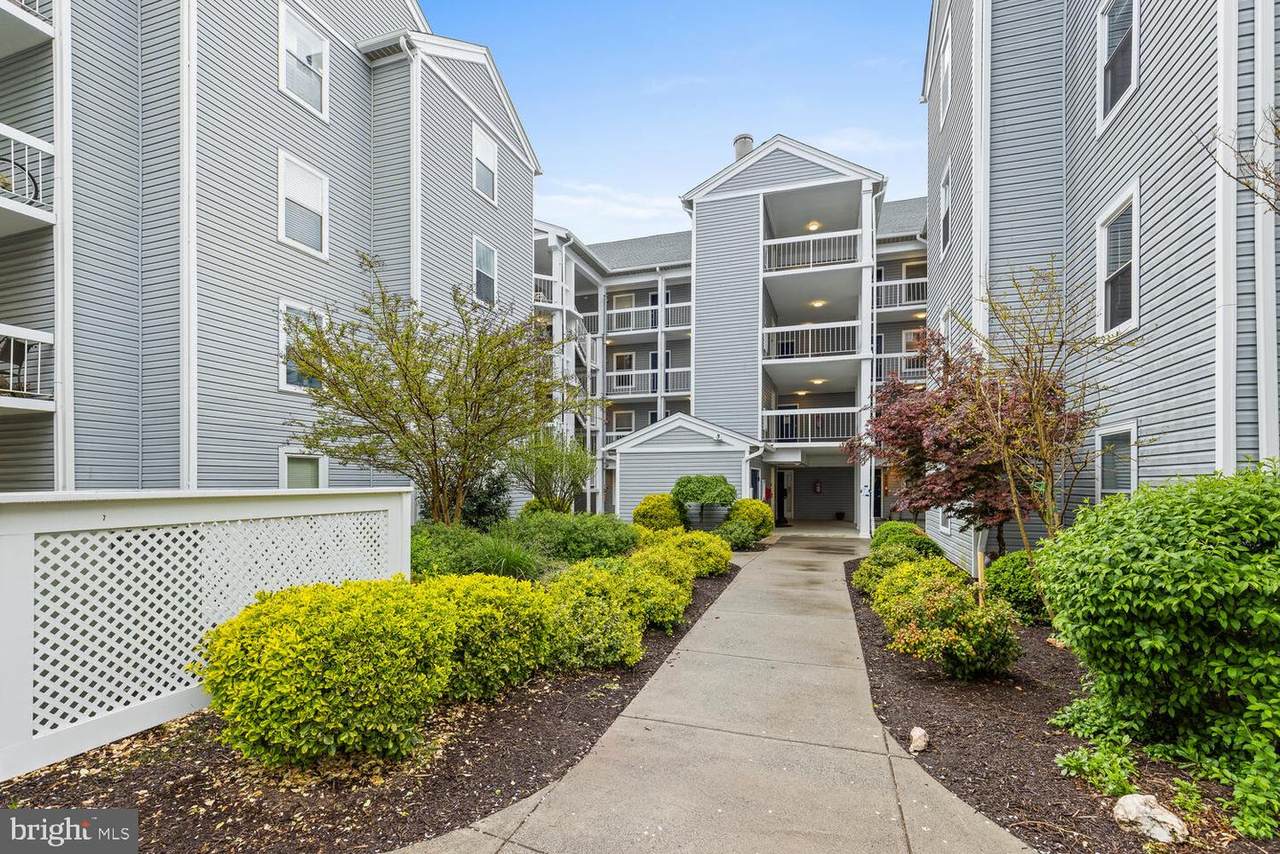 10248 Appalachian Circle - Photo 1