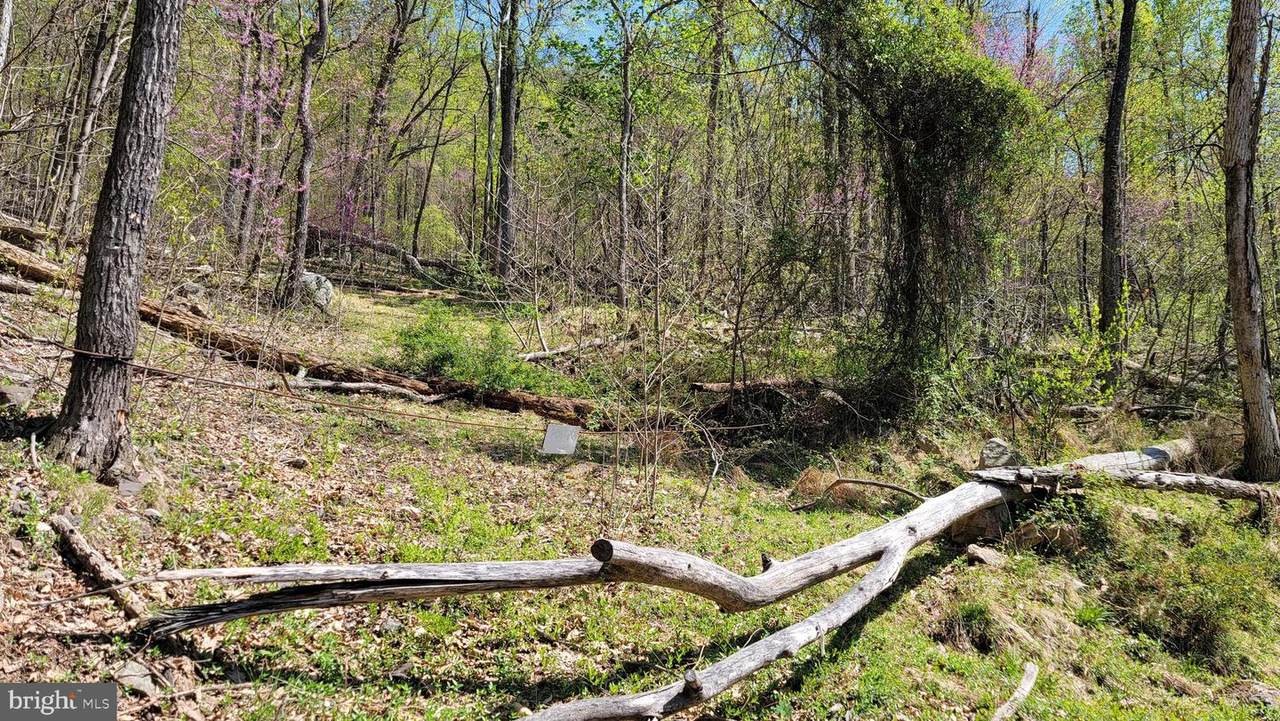 Swinging Bridge Road - Photo 1