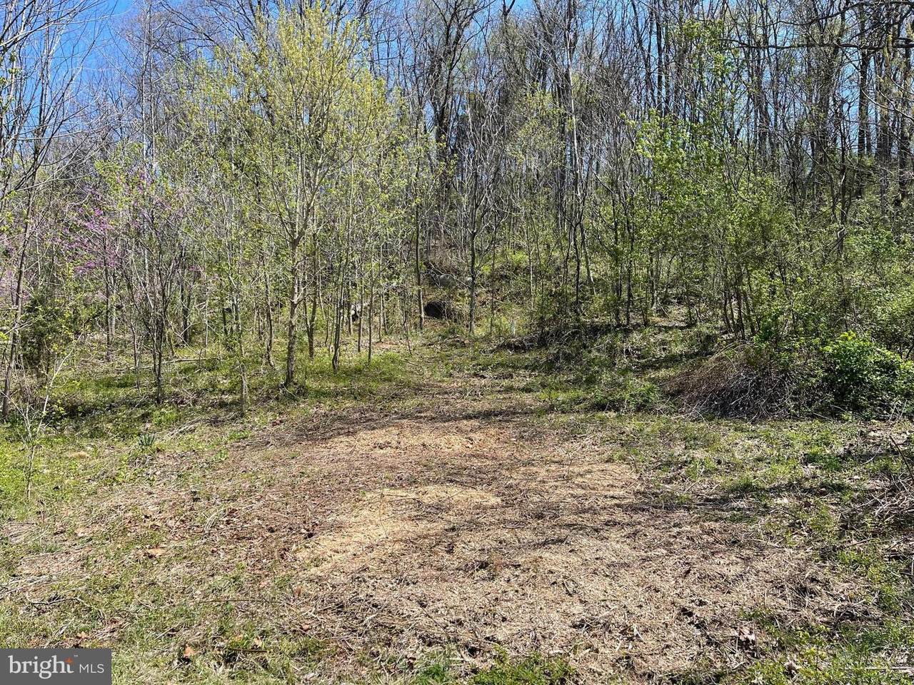 322 Cedar Point Road - Photo 1
