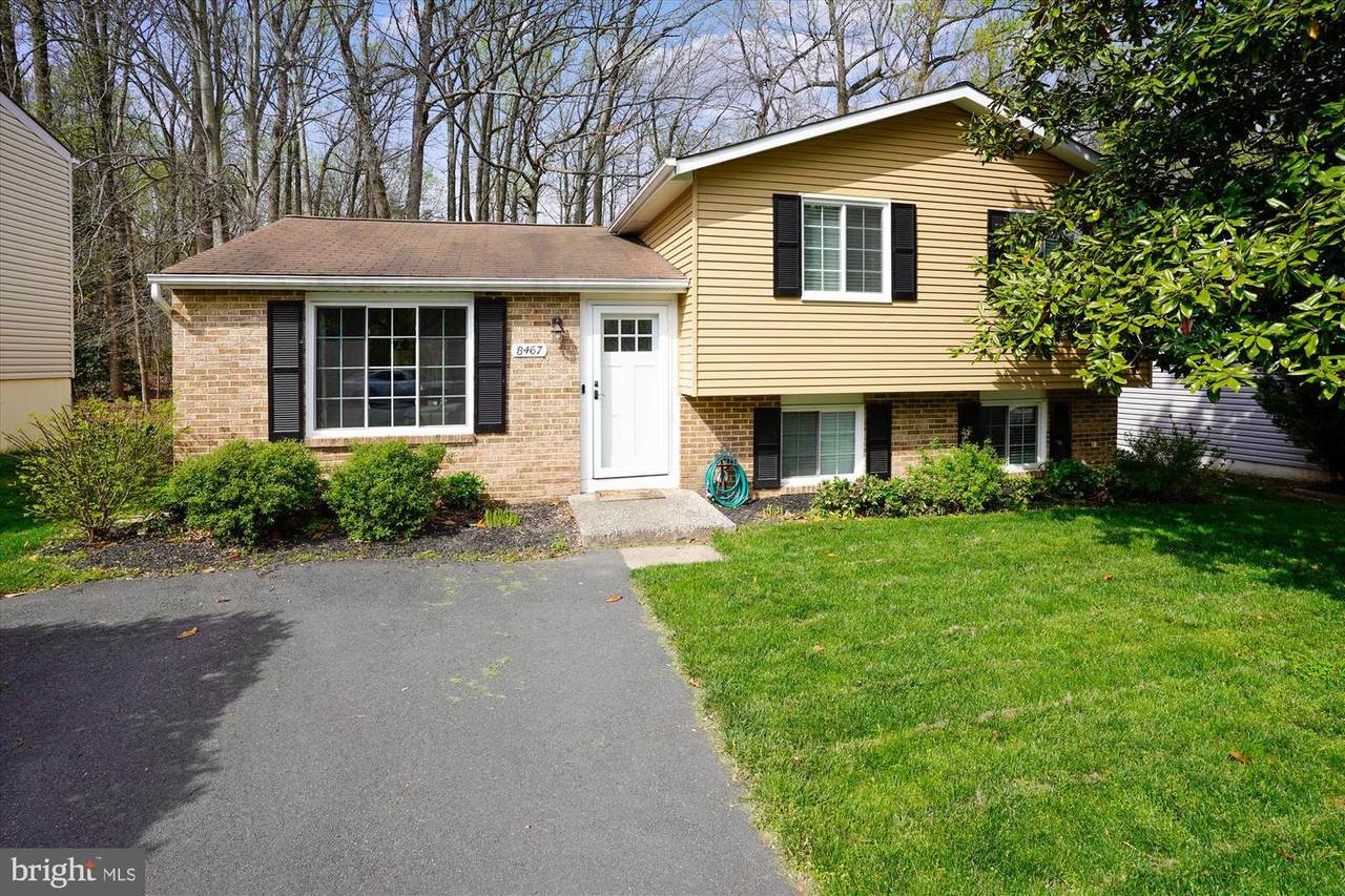 8467 Summer Breeze Lane - Photo 1