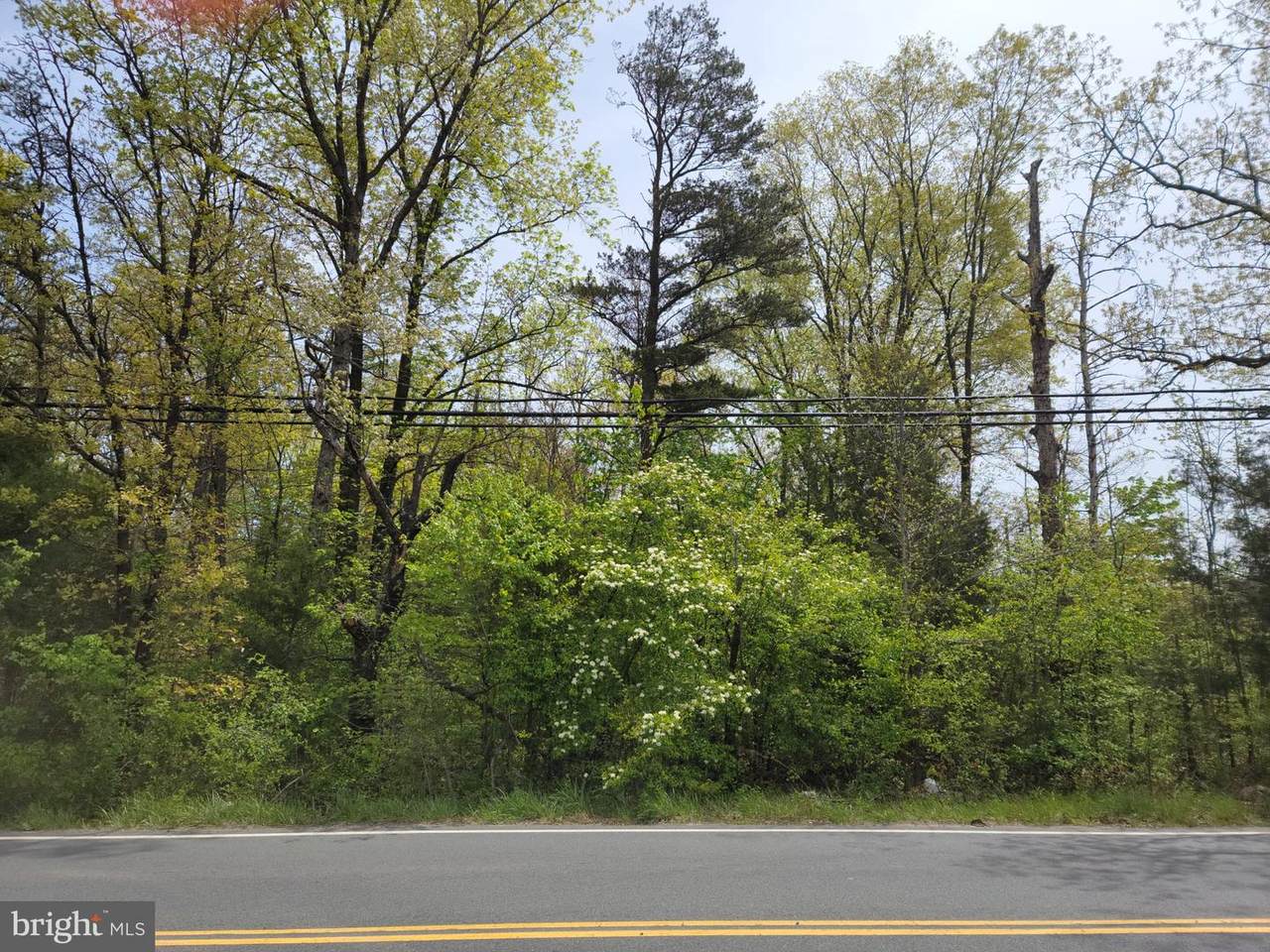 14079 Raccoon Ford Road - Photo 1
