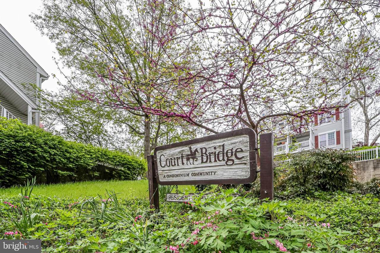 2921-C Woodstock Street - Photo 1
