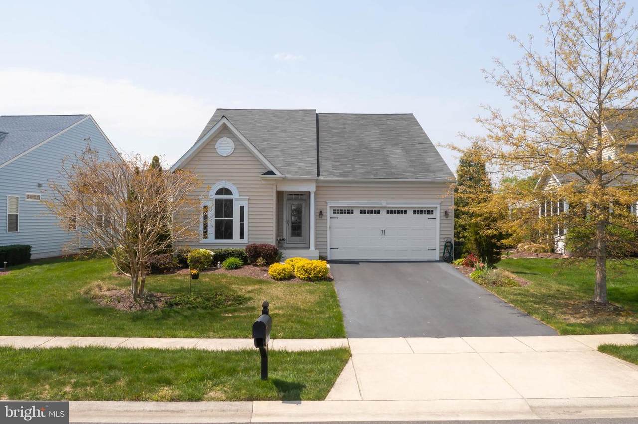 17698 Yellow Bell Drive - Photo 1