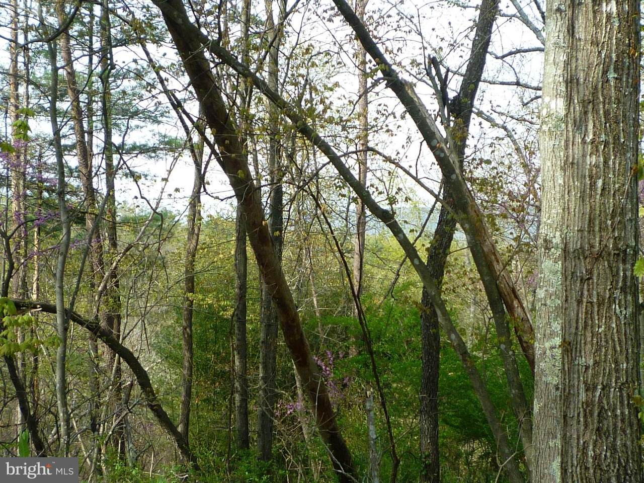 Lot #115 Pheasant Dr - Photo 1