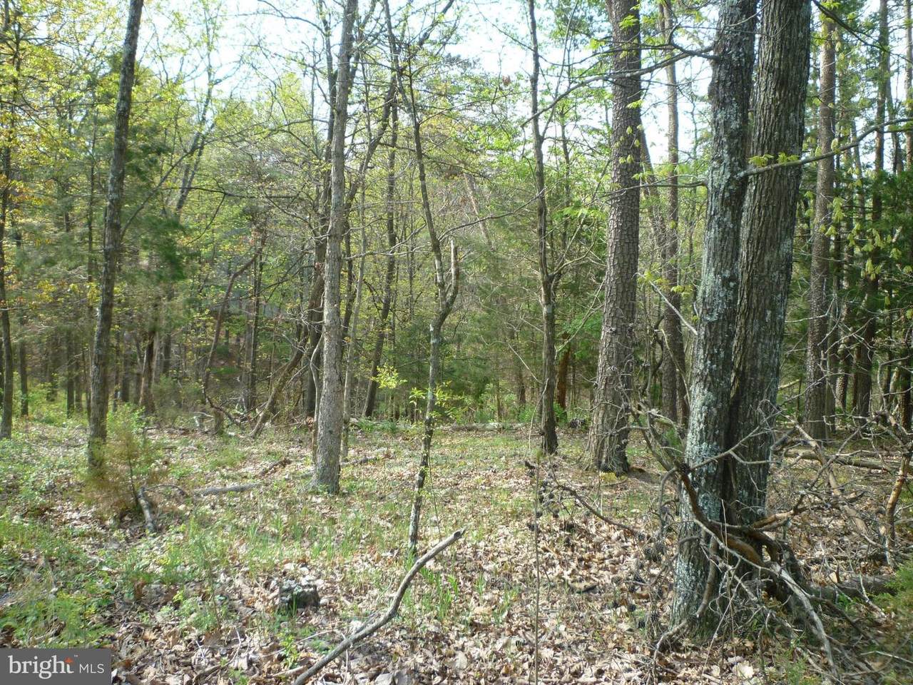 Lot # 2 Spitz Lane - Photo 1