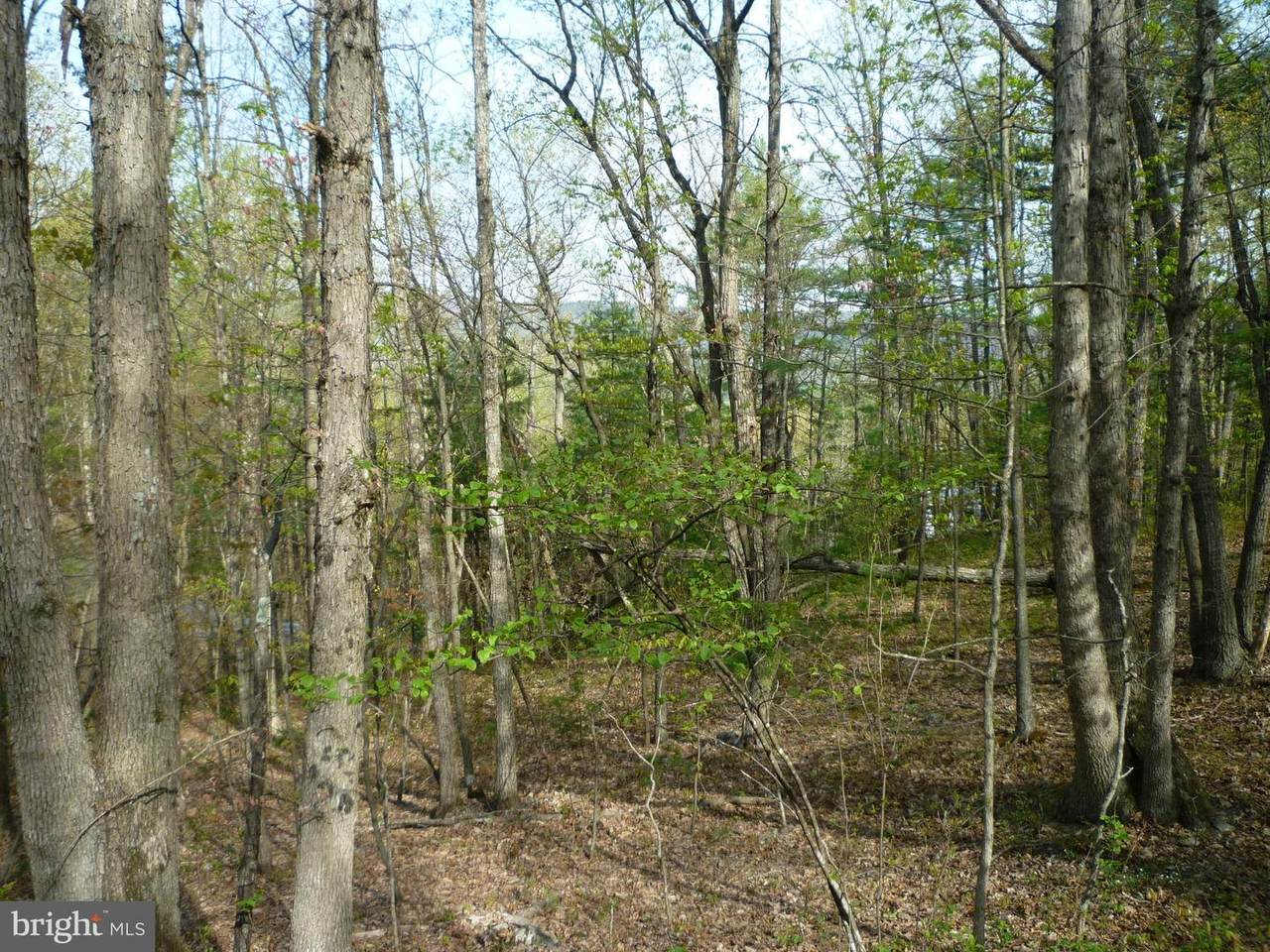 Lot # 72 Mallard Dr. - Photo 1