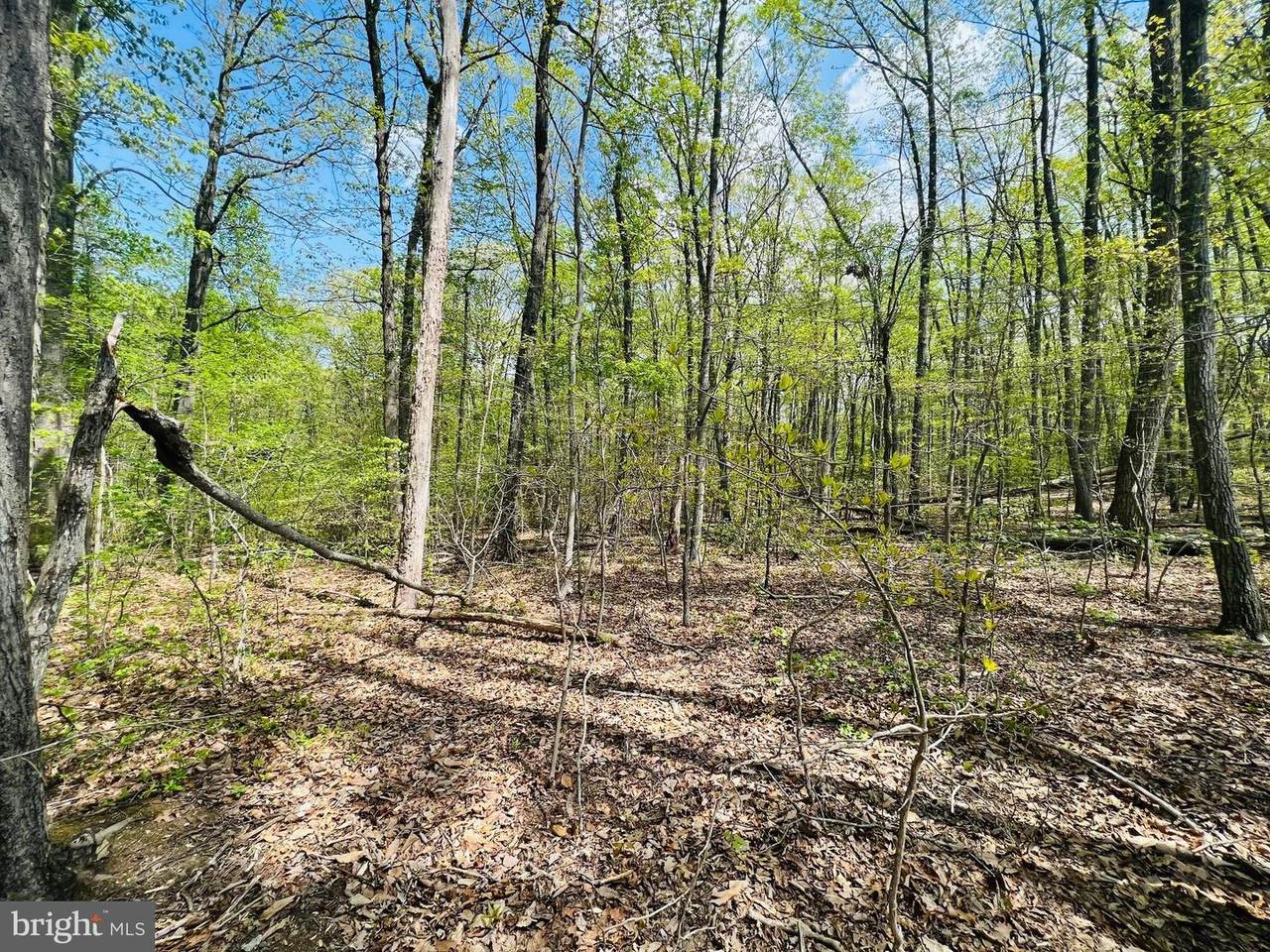 0 Clark Patton Rd. Parcel 2 - Photo 1