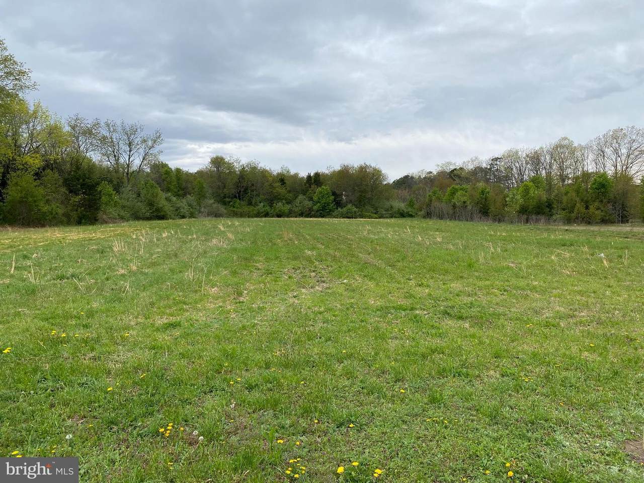 504 Harding Highway - Photo 1