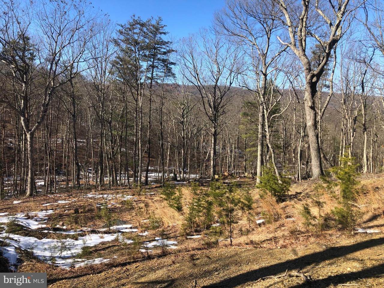 6061 DEER RIDGE ESTATES - Photo 1