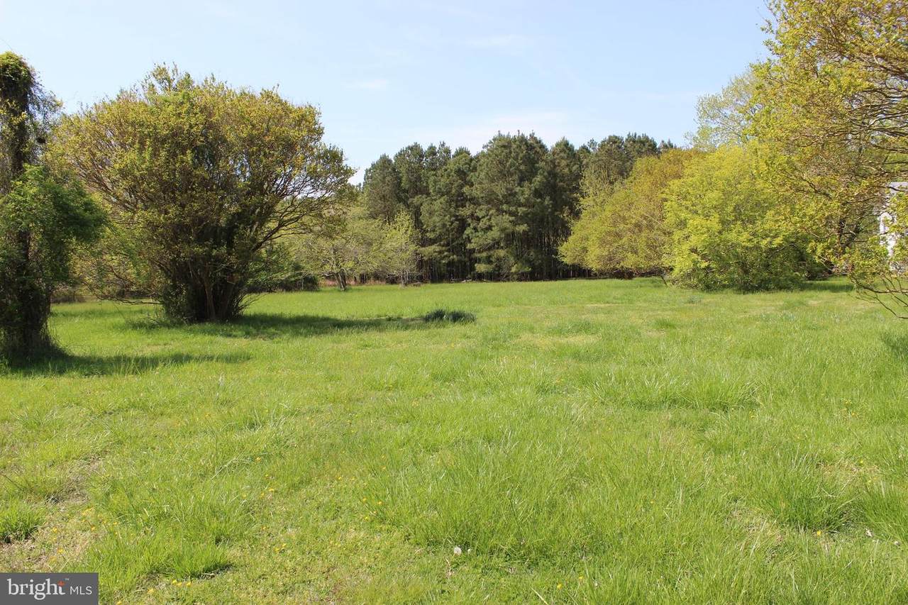 26793 Rumbley Road - Photo 1