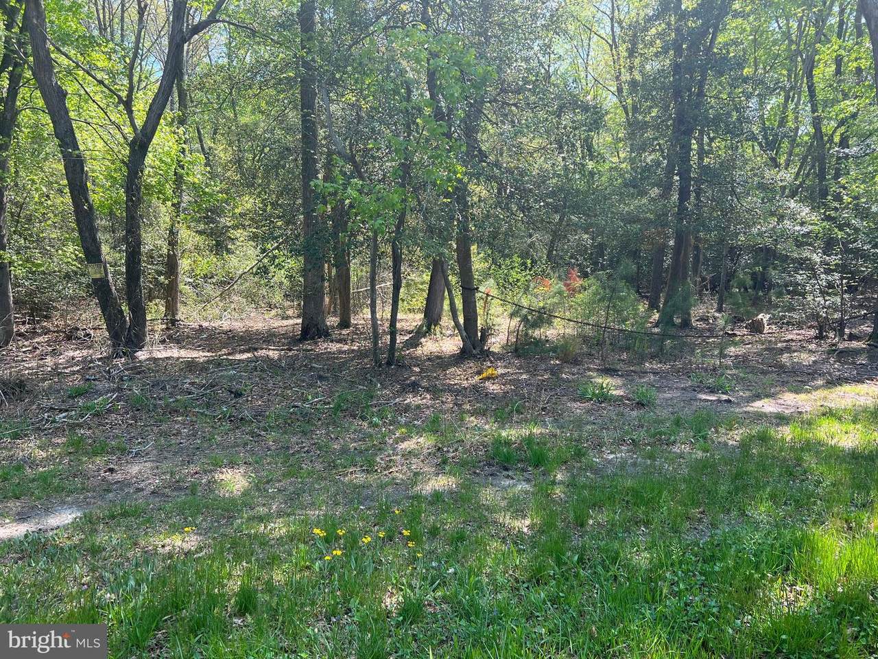0 Route 48 Zoar Rd. - Photo 1