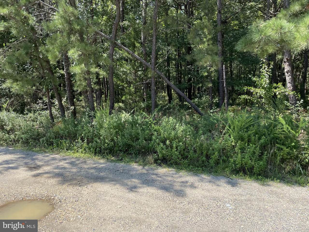 149 Mallard Road - Photo 1