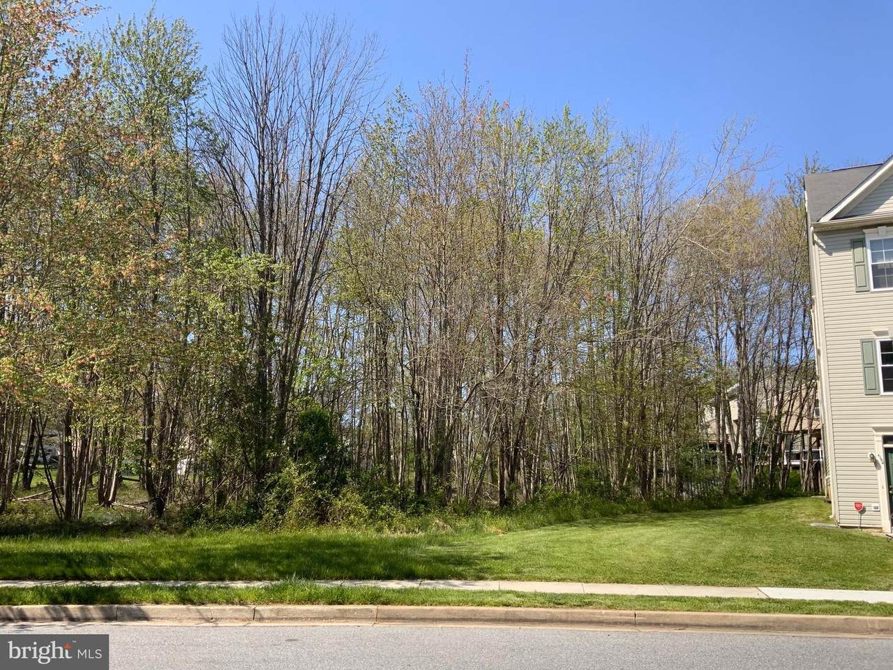 4168 Brown Bark Circle - Photo 1