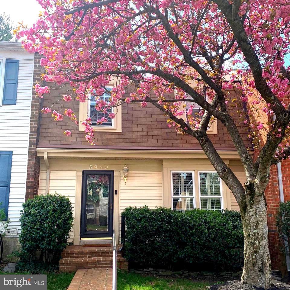 3980 Bradwater Street - Photo 1