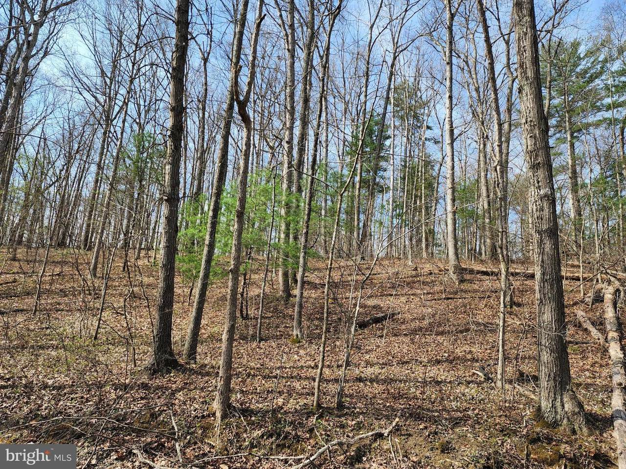 Bowman Hollow Road - Photo 1