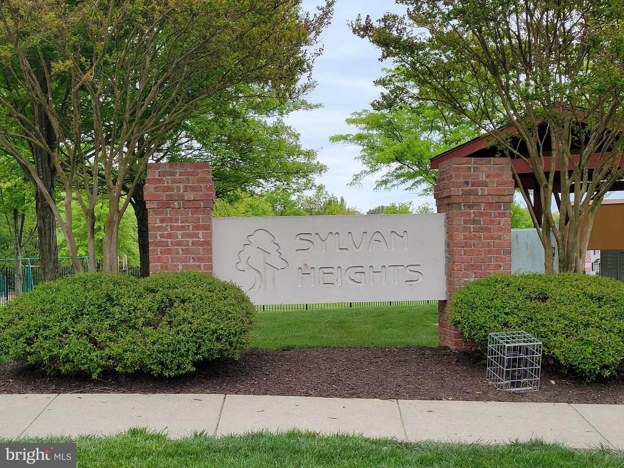 4910 Wall Flower Way - Photo 1