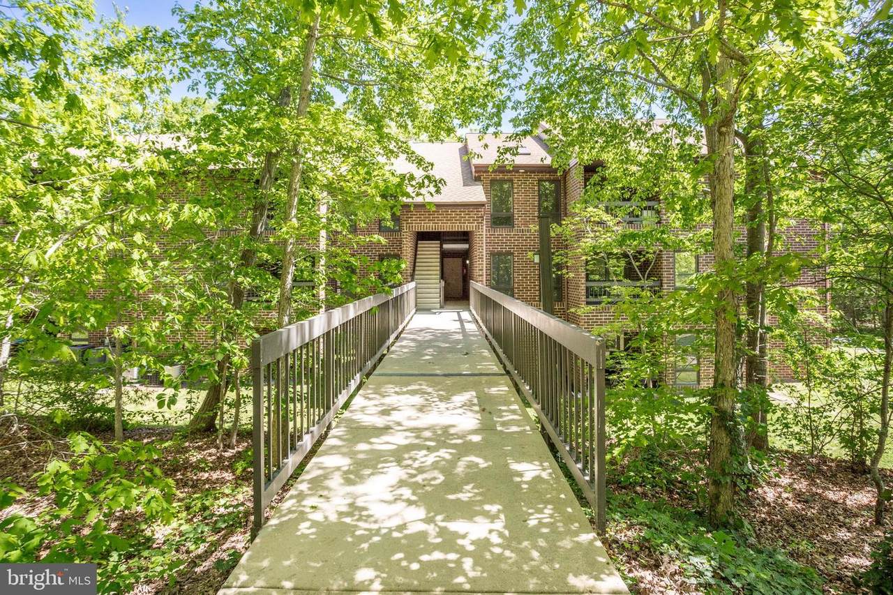 23250 Chestnut Oak Court - Photo 1
