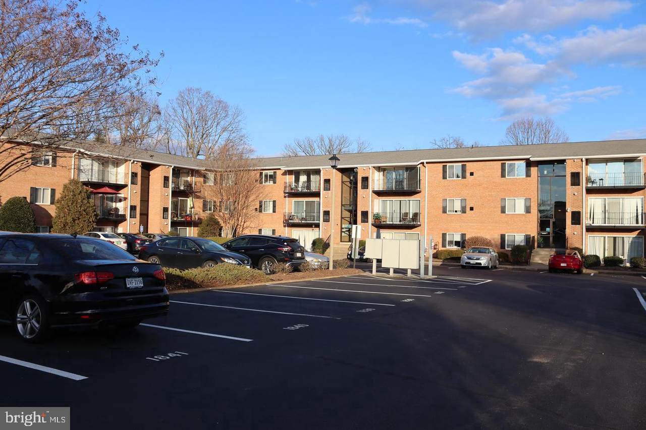 1805-C William Street - Photo 1