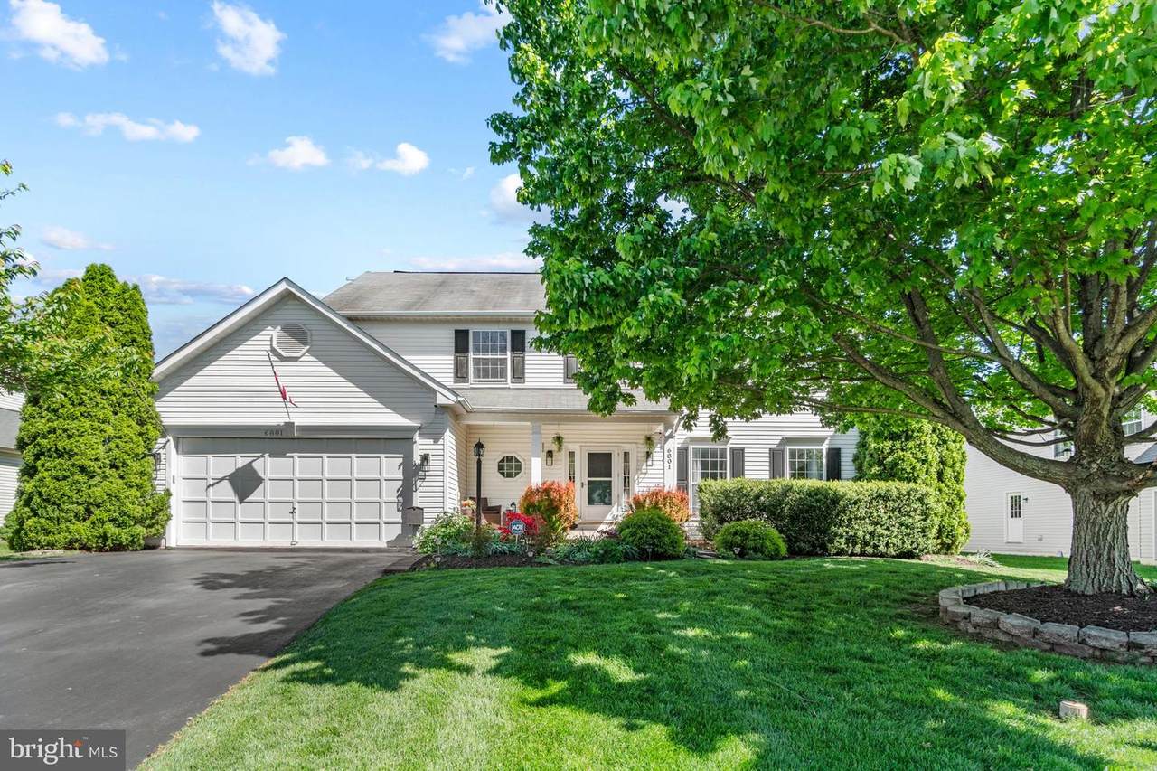 6801 Saint Paul Drive - Photo 1