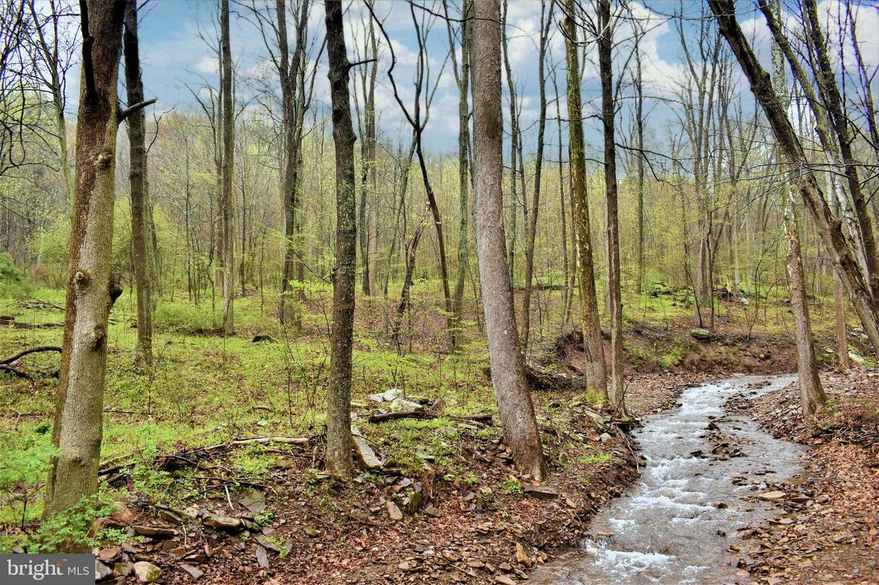 00 Tiger Valley Road - Photo 1