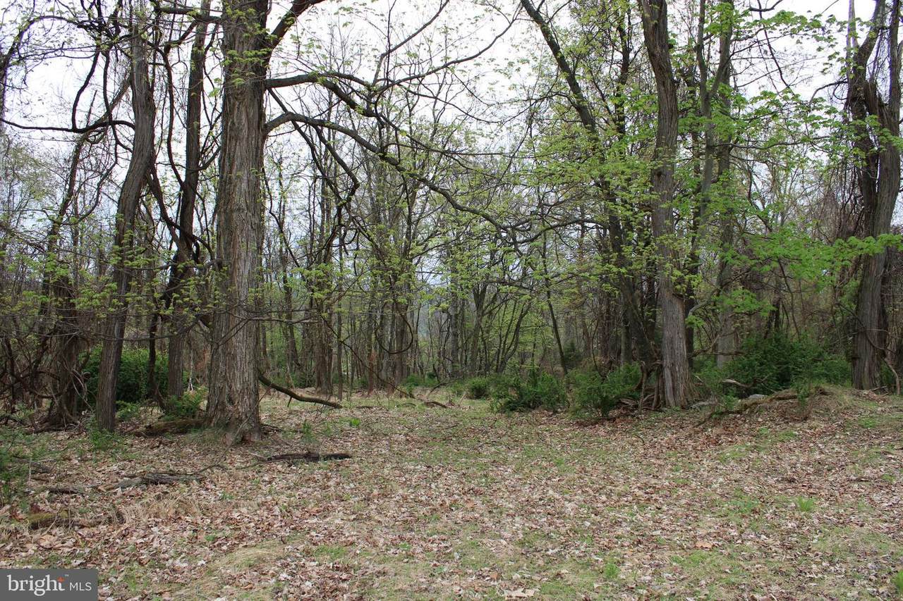 Lot 234 Harmisons Bluff Point - Photo 1