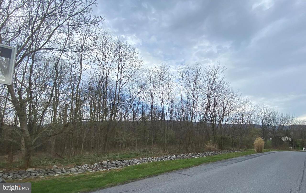Lot 10 Mill Ridge Road - Photo 1
